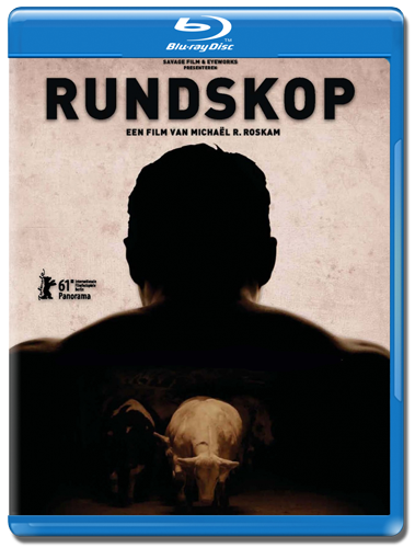 Болван / Rundskop (2011) HDRip