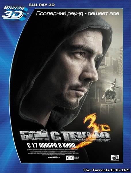 Бой с тенью 3D: Последний раунд (2011) HDRip | Лицензия