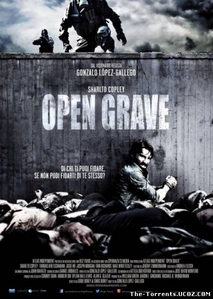 Открытая могила / Open Grave (2013) HDRip | L2